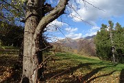 09 Vista verso il Sodadura